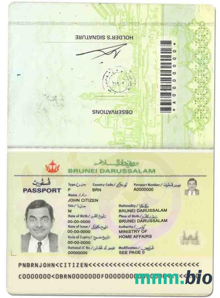 Przykład paszportu Brunei w formacie PSD, w pełni edytowalny